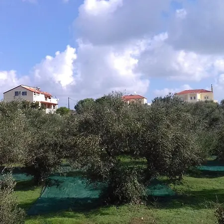 Manolo S Olive Farm, With Seaview *