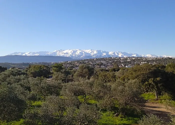 Manolo S Olive Farm, With Seaview 아파트