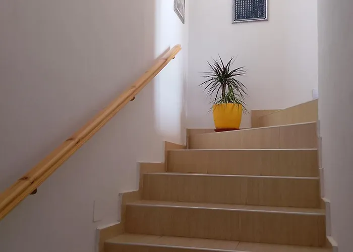 Manolo S Olive Farm, With Seaview 아파트