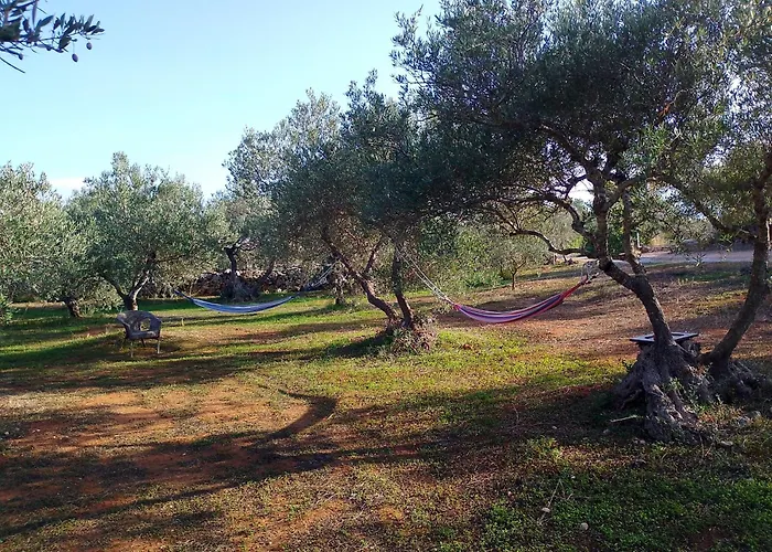 Manolo S Olive Farm, With Seaview 아파트 하니아