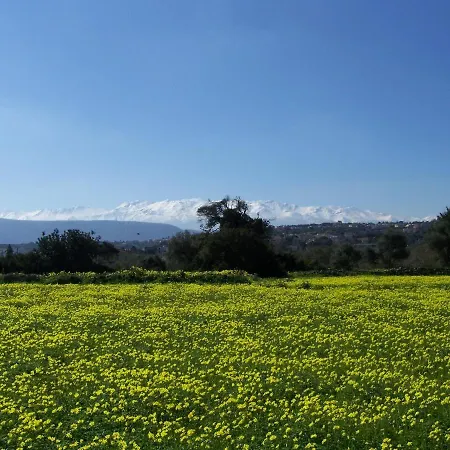 Manolo S Olive Farm, With Seaview *