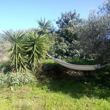 Manolo S Olive Farm, With Seaview