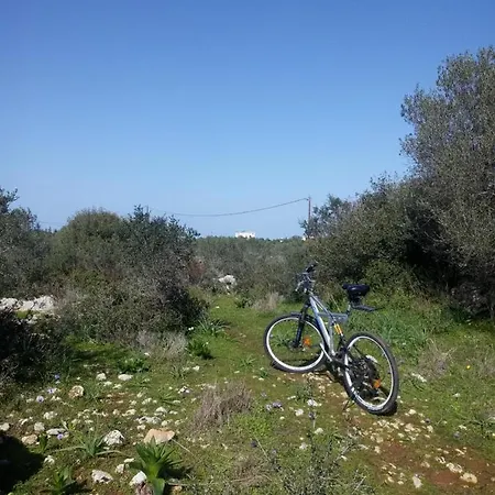 Manolo S Olive Farm, With Seaview Appartement *