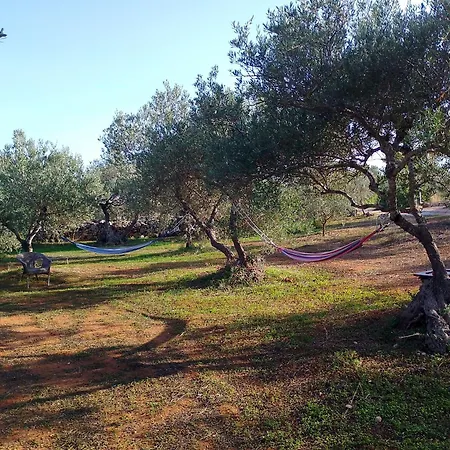 Manolo S Olive Farm, With Seaview Apartment Chania (Crete)