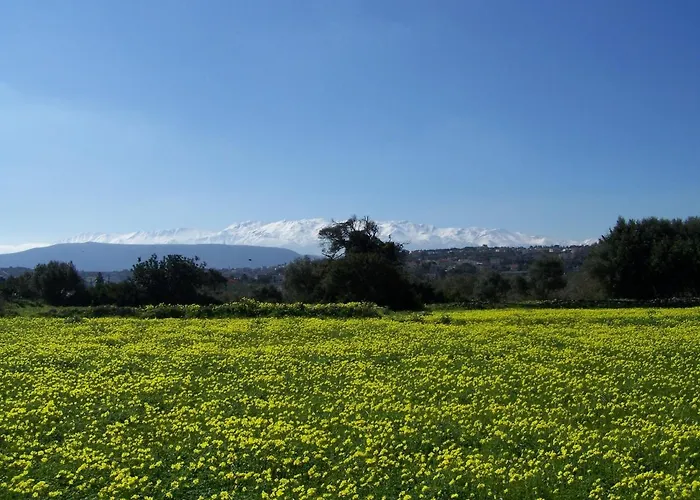 Manolo S Olive Farm, With Seaview *