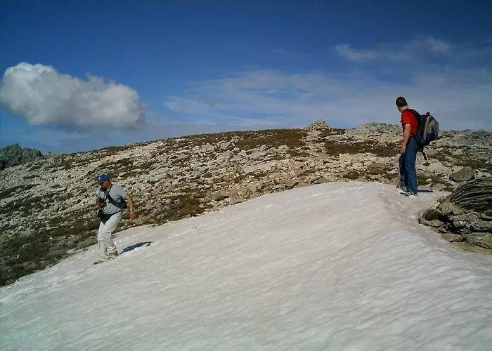 Manolo S Olive Farm, With Seaview Apartment Chania (Crete)