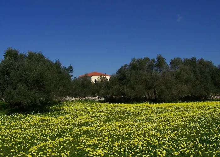 Apartment Manolo S Olive Farm, With Seaview Chania (Crete)