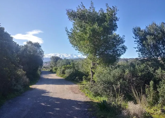 Apartment Manolo S Olive Farm, With Seaview *