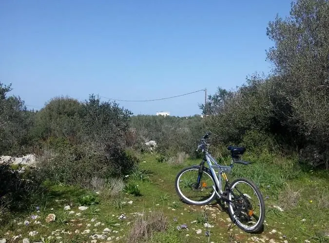 Manolo S Olive Farm, With Seaview Apartment *