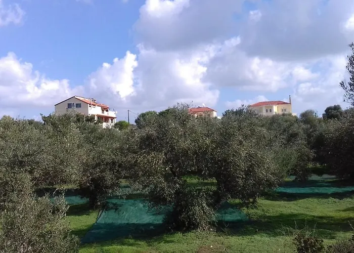 Manolo S Olive Farm, With Seaview *