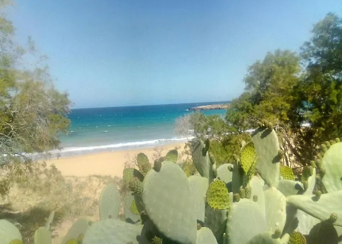 Apartment Manolo S Olive Farm, With Seaview *