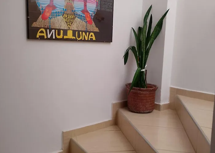 Apartment Manolo S Olive Farm, With Seaview Chania (Crete)