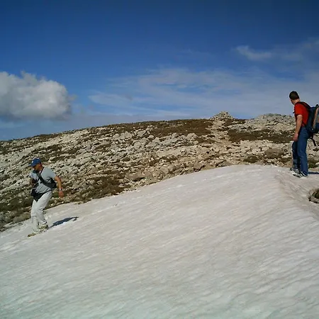 Manolo S Olive Farm, With Seaview 公寓 干尼亞