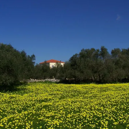 公寓 Manolo S Olive Farm, With Seaview 干尼亞