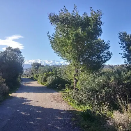 公寓 Manolo S Olive Farm, With Seaview *