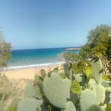 公寓 Manolo S Olive Farm, With Seaview *